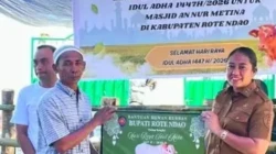 Wabup Apremoi Serahkan 13 Sapi Kurban Untuk Masjid di Rote Ndao