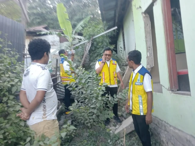 survei letelangga