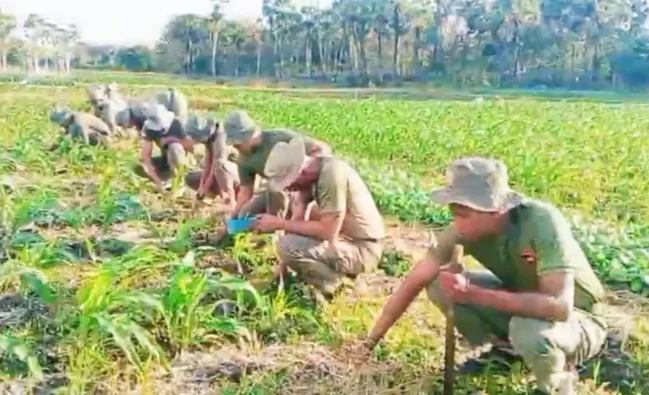 Brimob NTT, Rawat Tanaman Jagung
