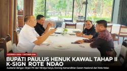 Bupati Paulus Henuk Audensi dengan Dirjen PK dan NK