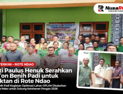bupati-paulus-henuk-serahkan-224-ton-benih-padi-52-poktan-rote-ndao-2026.jpg