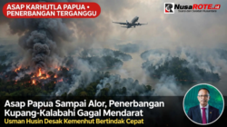 penerbangan-kupang-kalabahi-gagal-mendarat-asap-karhutla-papua-usman-husin-desak-kemenhut.jpg
