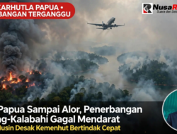 Penerbangan Kupang-Kalabahi Gagal Mendarat akibat Asap Karhutla Papua, Usman Husin Desak Kemenhut Bertindak