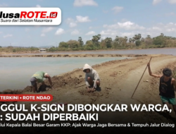 Tanggul K-SIGN Rote Ndao Dibongkar Warga, KKP: Sudah Diperbaiki, Ajak Warga Jaga Bersama