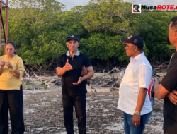 Pordasi Rote Ndao Siap Gelar Pacuan Kuda Bupati Rote Ndao Cup IV di Tanjung Tesabela, Bidik PON 2028
